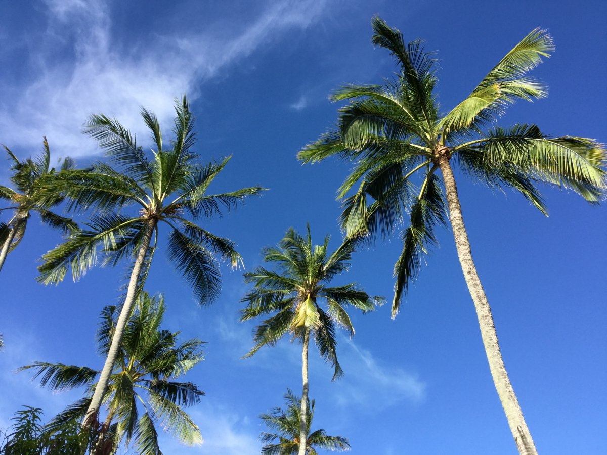 オンラインサロン　美帆の開運セラピー  （月払）