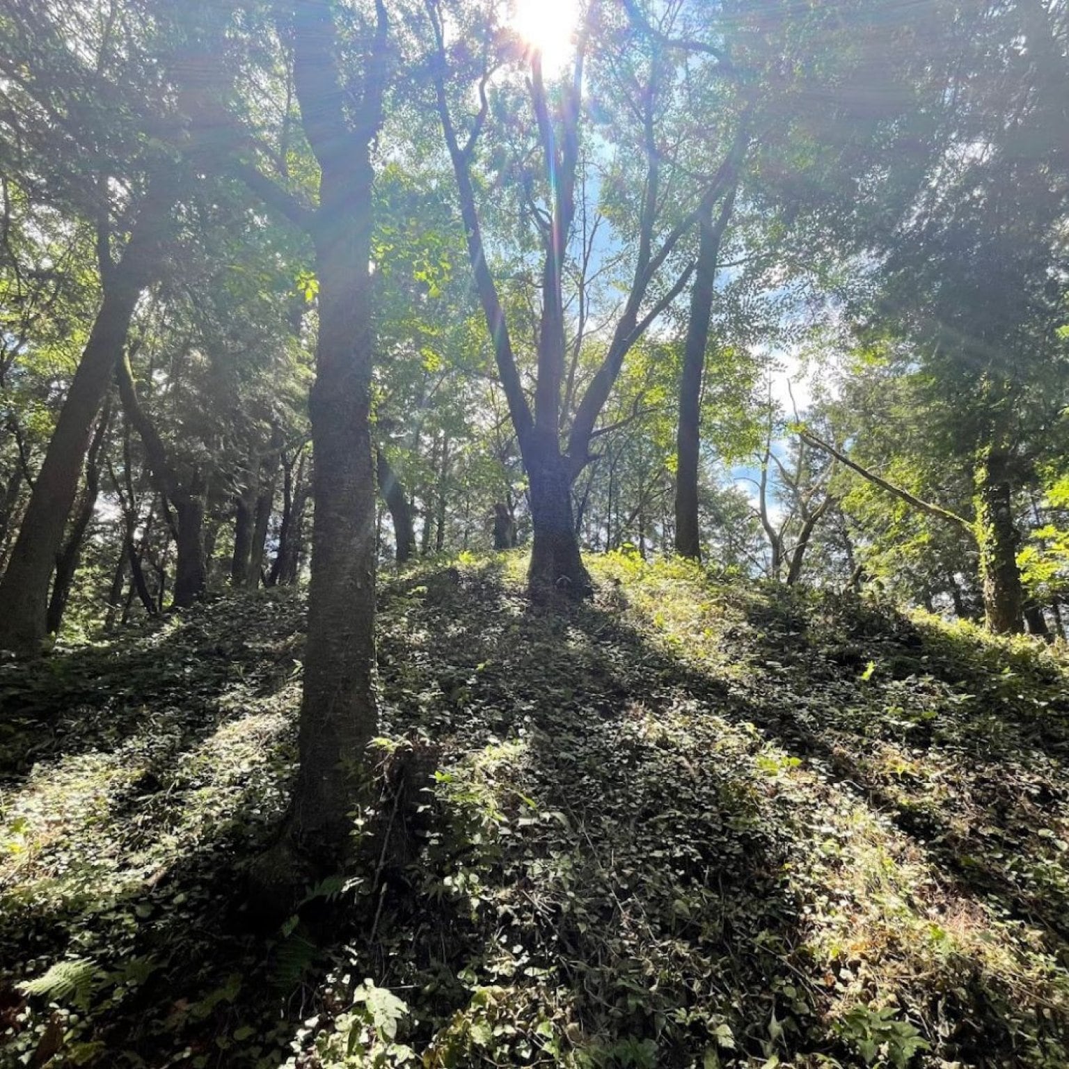 【リアルイベント】予約チケット皆神山(7月5日)