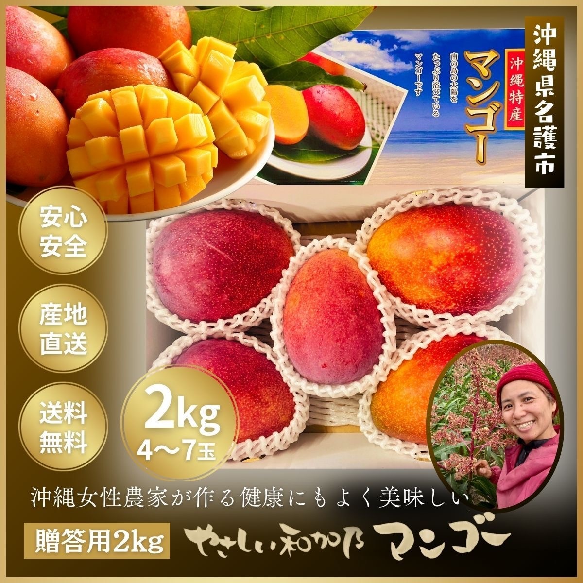 贈答用2kg(4〜7玉)】沖縄県やんばる産こだわり栽培「やさしい和加乃