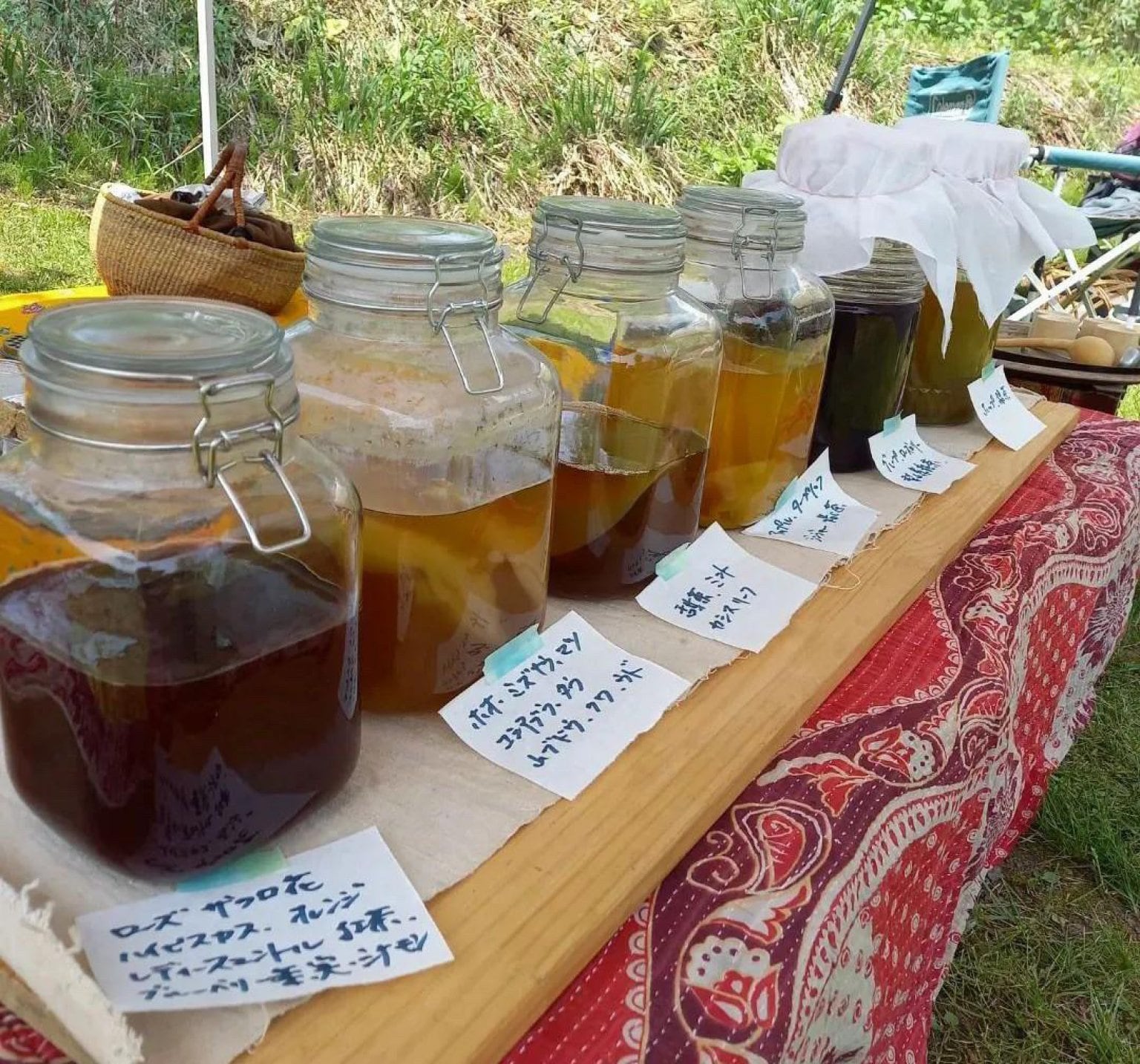 身体の中から健康に♡コンブチャワークショップ