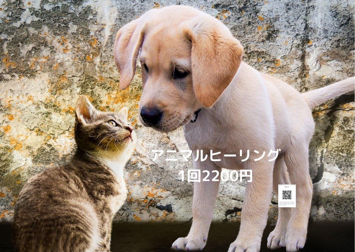アニマルヒーリング2200円