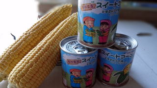 北海道のスィートコーン缶 1箱（24缶入）【特別栽培】