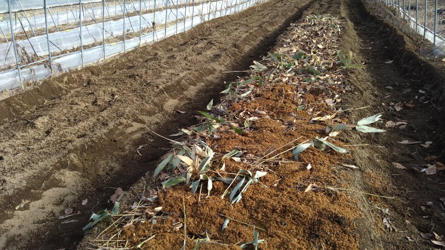 菌ちゃんウネの作り方講座（北海道安平町で）