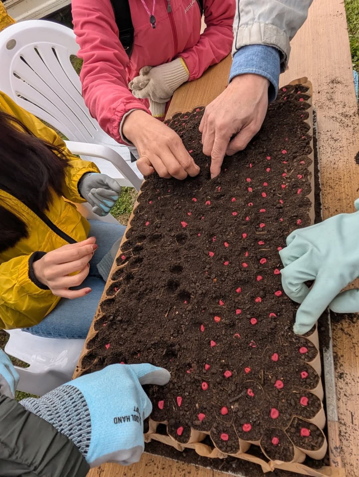 2026/5/4高林農園　種まき祭　withアップダウン＆千堂あきほ