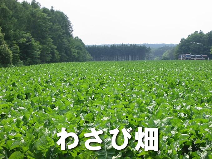 北海道産】山わさび「わさびの達人 130g」3本 +「雪わさび 130g」3本