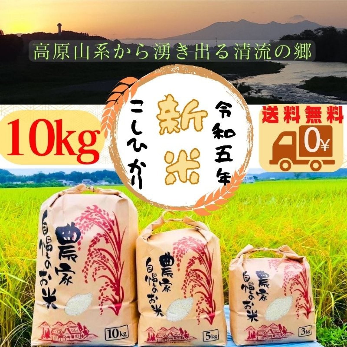 【新米コシヒカリ販売】 令和5年産 新米コシヒカリ　10㎏　送料無料　白米・玄米・無洗米