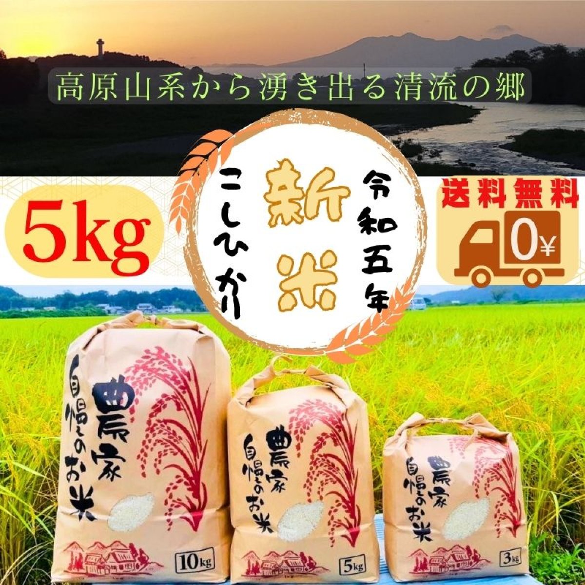 【新米コシヒカリ販売】令和5年産 新米コシヒカリ　5kg　 送料無料　白米・玄米・無洗米