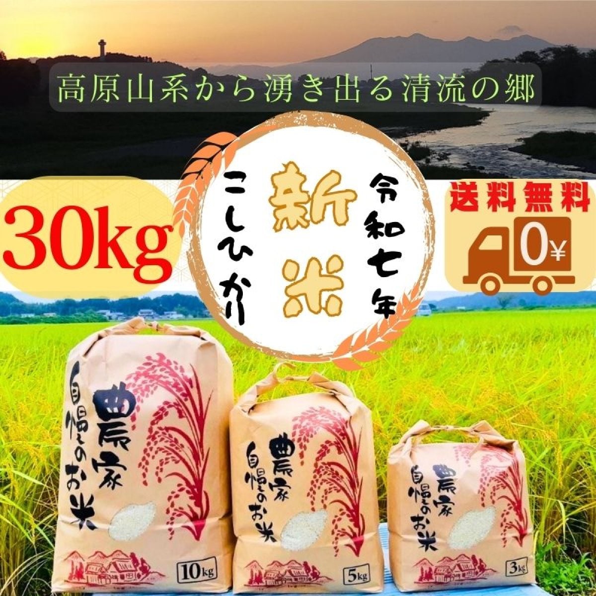 【新米コシヒカリ販売】令和7年産 新米コシヒカリ　30㎏　 送料無料　白米・玄米・無洗米