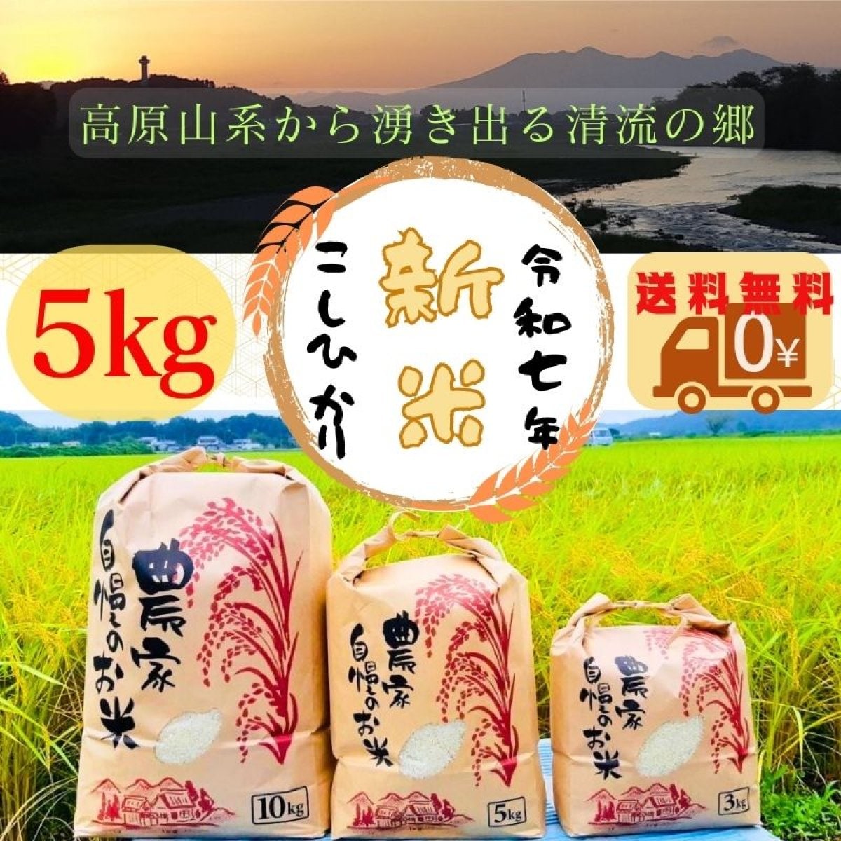 【新米コシヒカリ販売】令和7年産 新米コシヒカリ　5kg　 送料無料　白米・玄米・無洗米