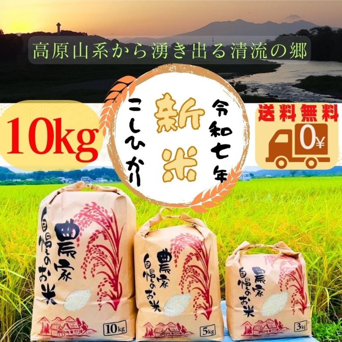 【新米コシヒカリ販売】 令和7年産 新米コシヒカリ　10㎏　送料無料　白米・玄米・無洗米