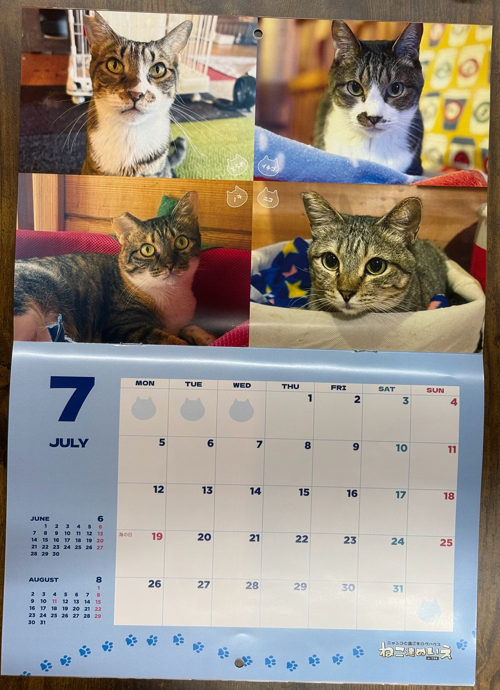 ねこ達のいえオリジナルカレンダー2027年版