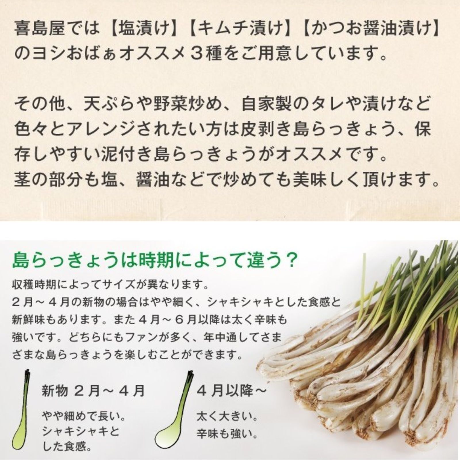 よしおばぁの沖縄島らっきょう 【塩漬け 200g】 伊江島産島らっきょう
