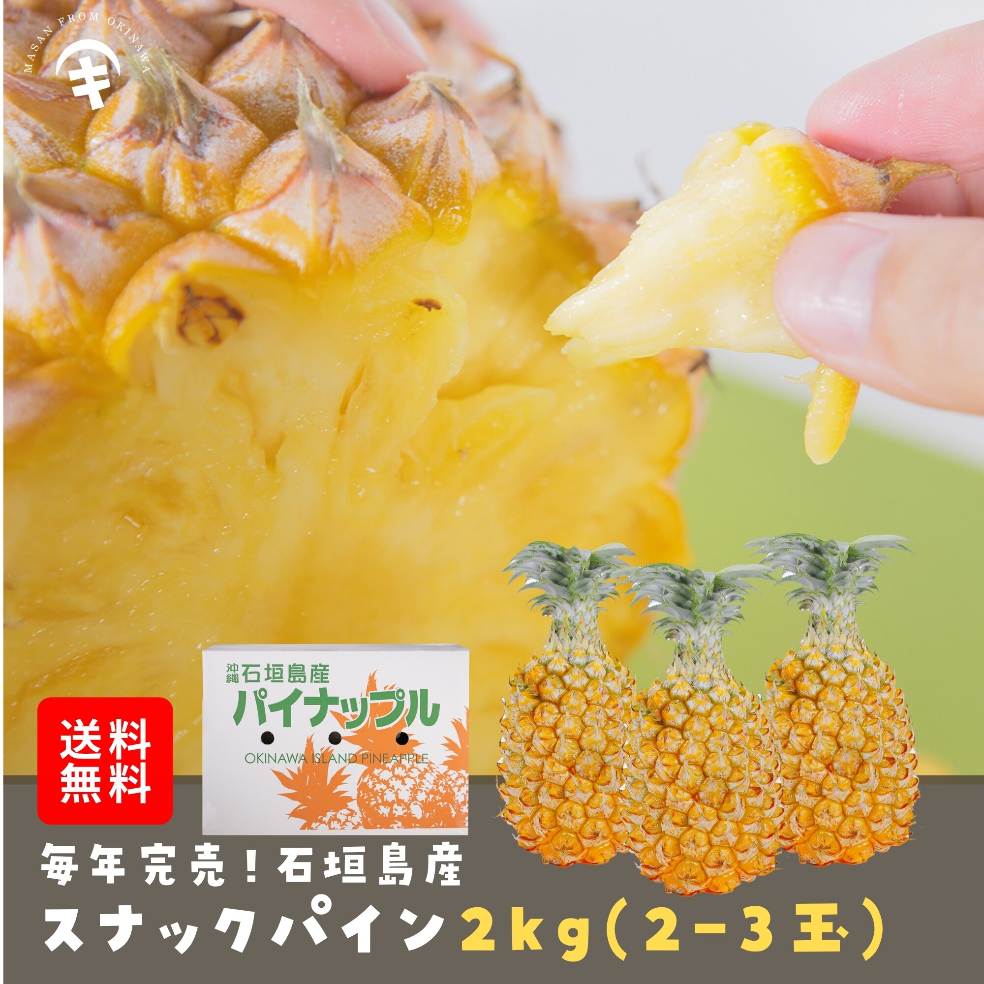 5月〜7月の収穫期間内での発送】送料無料 石垣島産 スナックパイン