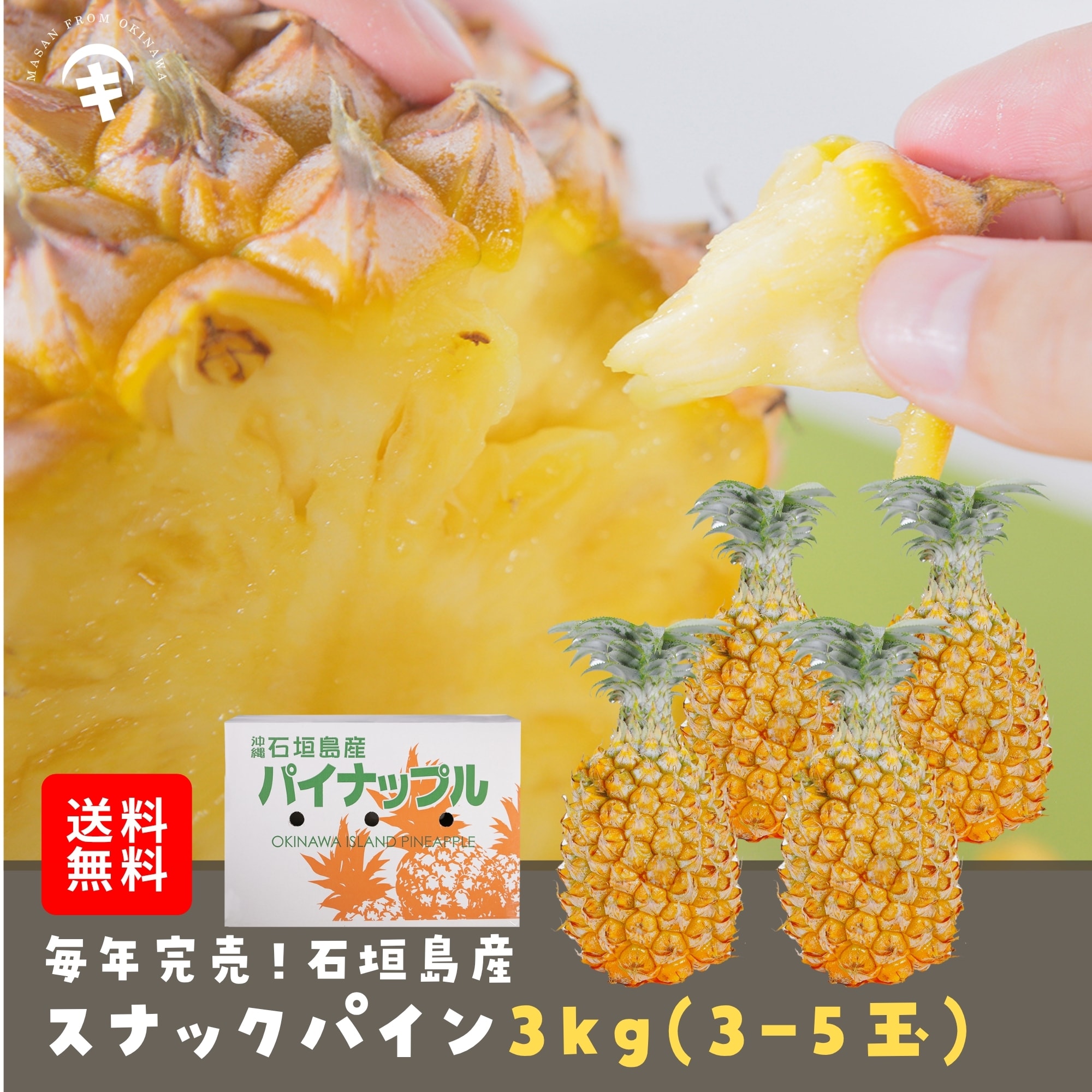 5月中旬〜7月の収穫期間内での発送】送料無料 石垣島産 スナック
