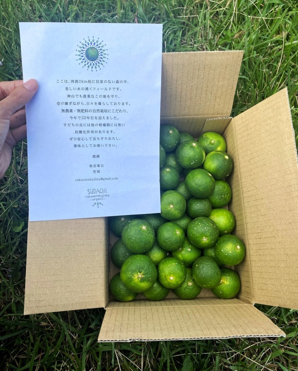 9/30まで15箱限定!!《1kg 送料込み》オーガニック 自然栽培すだち 徳島県神山町