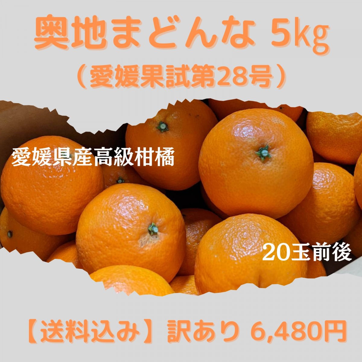 【訳あり】 奥地まどんな（愛媛果試第28号）5kg【送料込み】沖縄・北海道・離島は別途　愛媛県西予市三瓶町の高級柑橘
