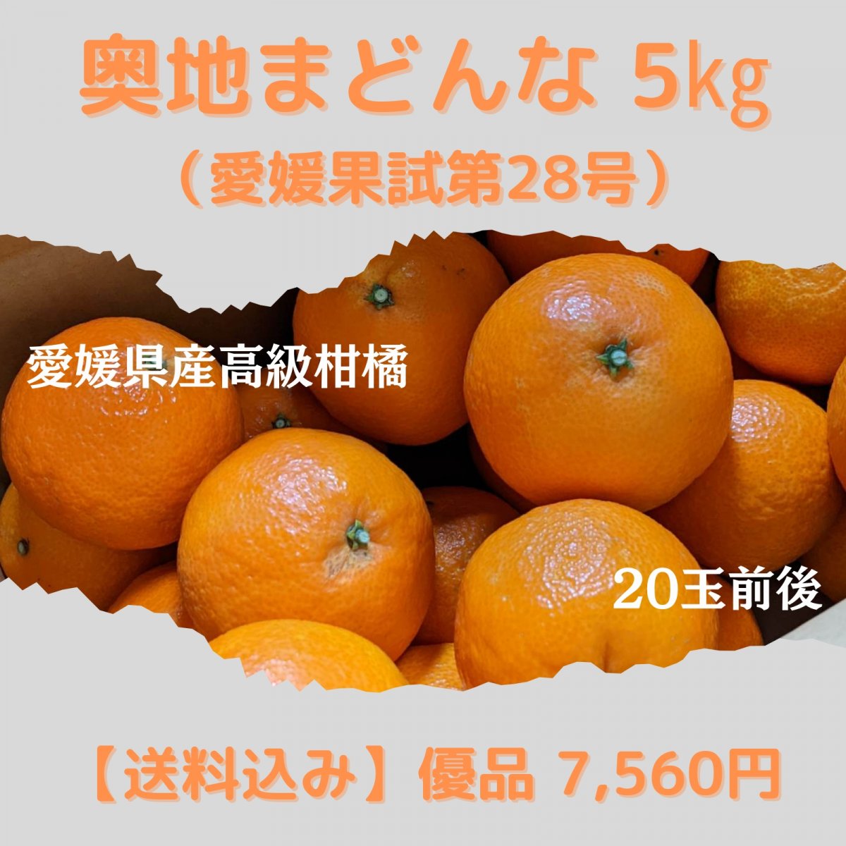 【優品】 奥地まどんな（愛媛果試第28号）5㎏ 【送料込み】沖縄・北海道・離島は別途　愛媛県西予市三瓶町の高級柑橘