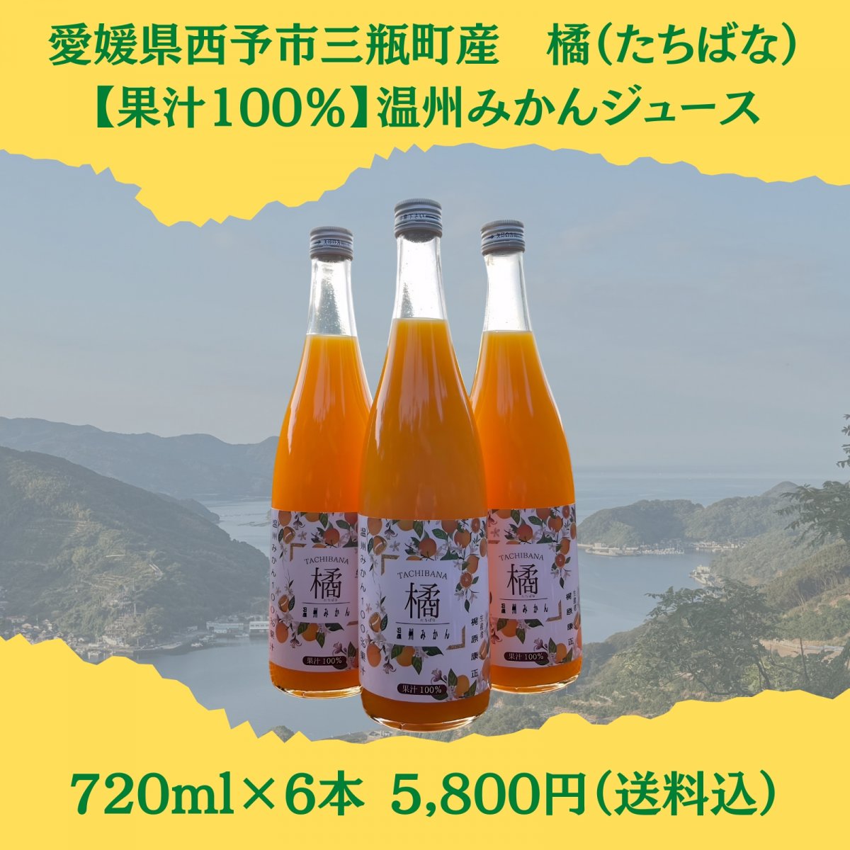 限定5本【果汁100%】愛媛県西予市産 温州みかんジュース 720ml×6本【送料込み】沖縄・北海道・離島は別途