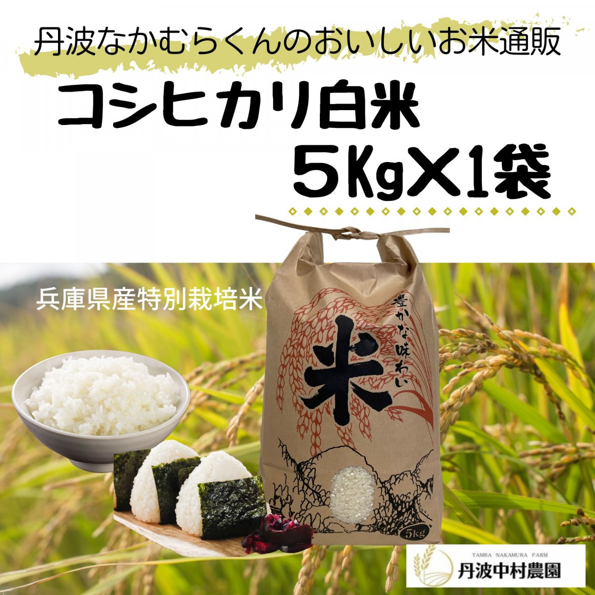 【コシヒカリ5㎏選べる精米歩合】令和7年産米/つきたて直送/≪兵庫県丹波市産特別栽培米≫なかむらくんのおいしいお米