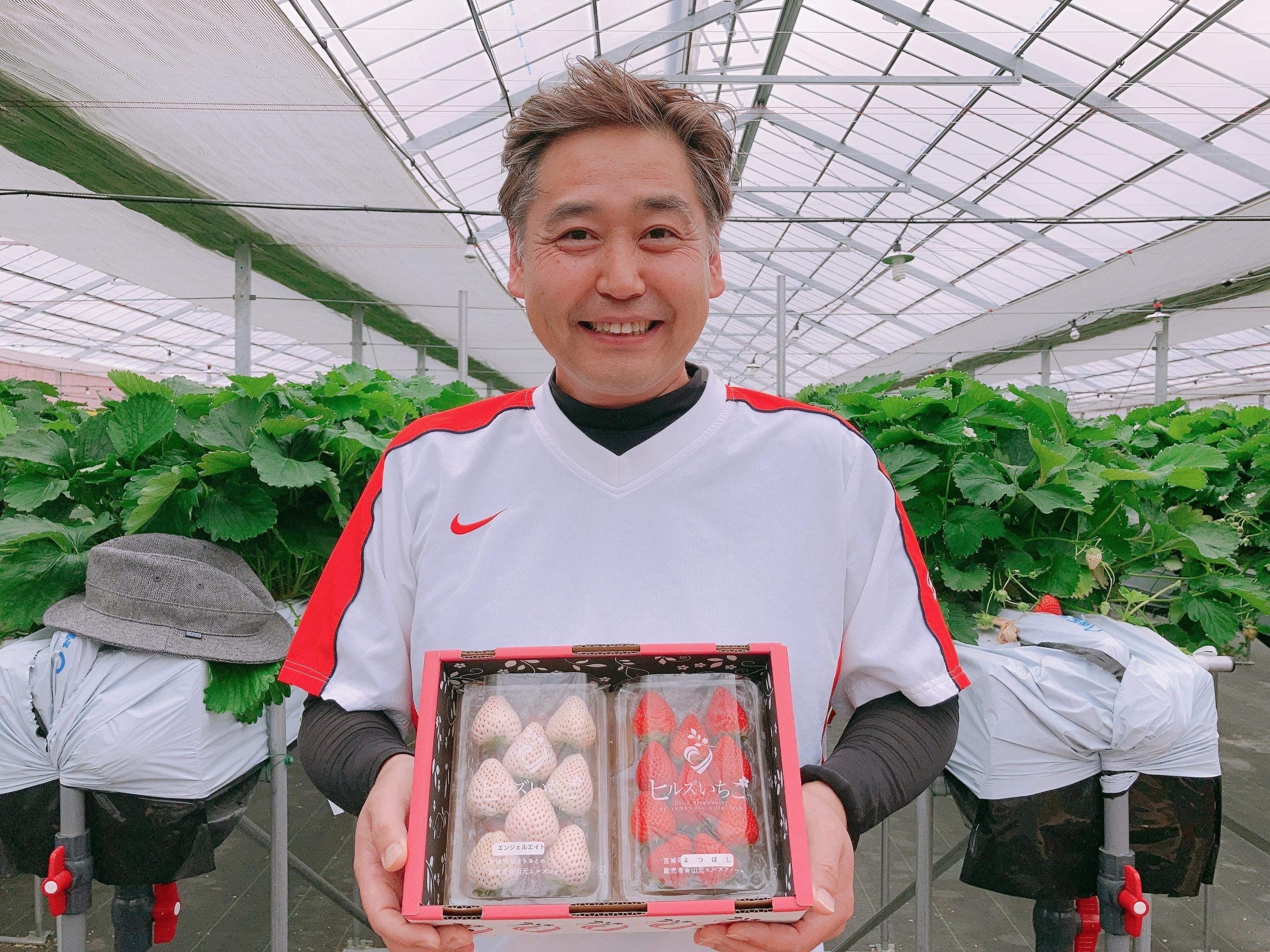 宮城県産ヒルズいちごの紅白で大人気！天使のいちご入り食べ比べセット🍓