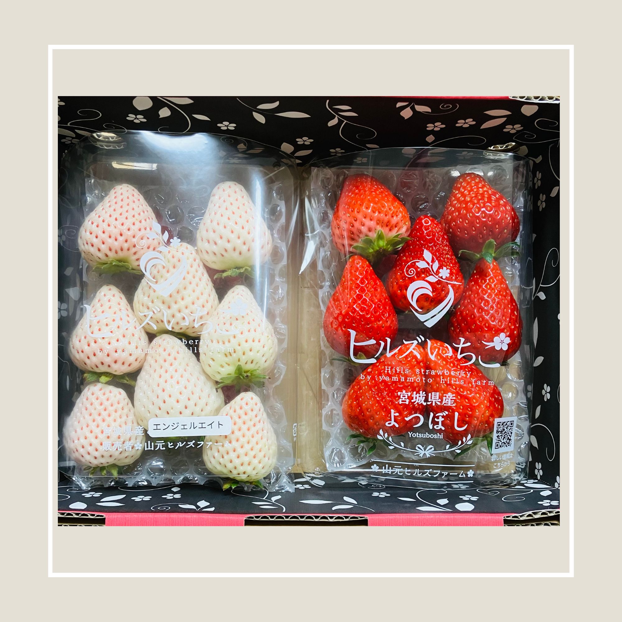 りえ出品 イチゴ5セット 宮城県産ヒルズいちごの紅白で大人気！天使のいちご入り食べ比べセット🍓