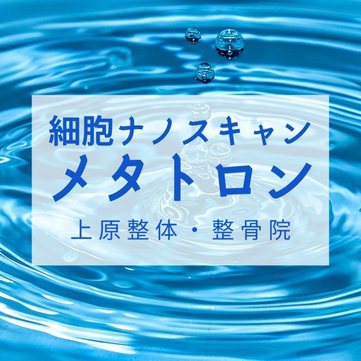 【メタトロン波動測定】服を着たまま全身の細胞を８００ヶ所スキャン「全身体内測定」｜今の体質や弱っている所が未病の状態で分かります。