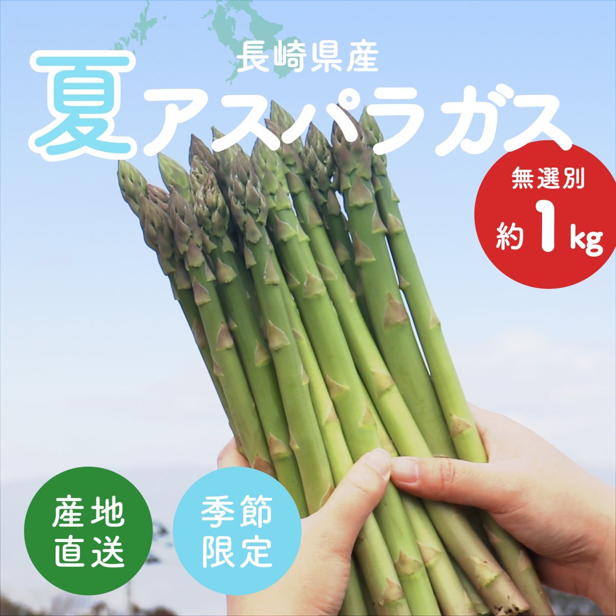 【産地直送】アスパラガス1kg《長崎県産》L~Mサイズ混合