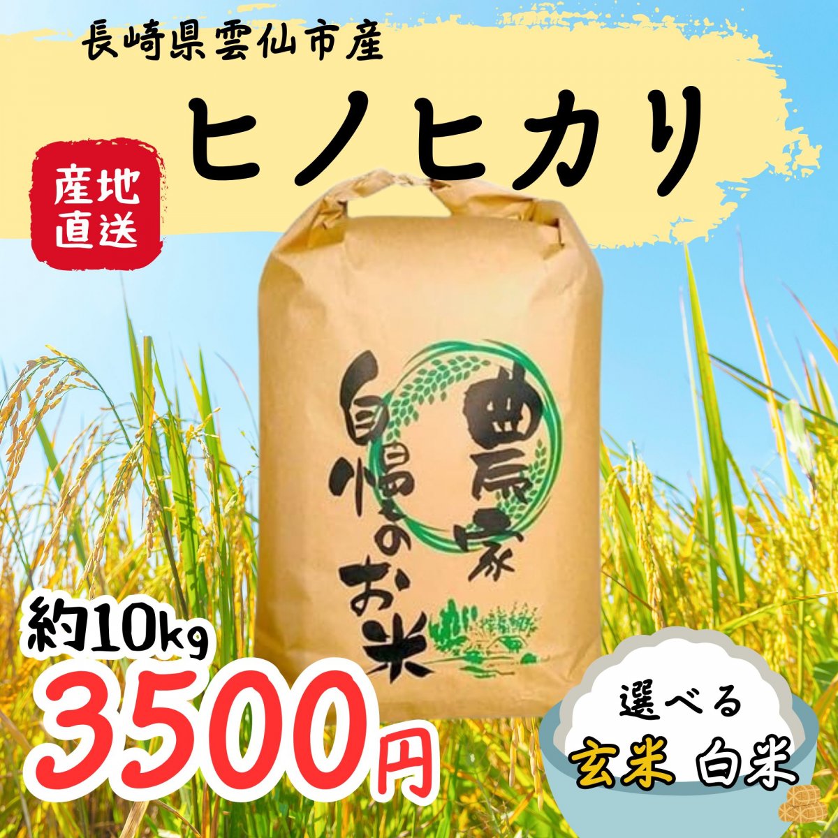 長崎県雲仙市産「ヒノヒカリ」