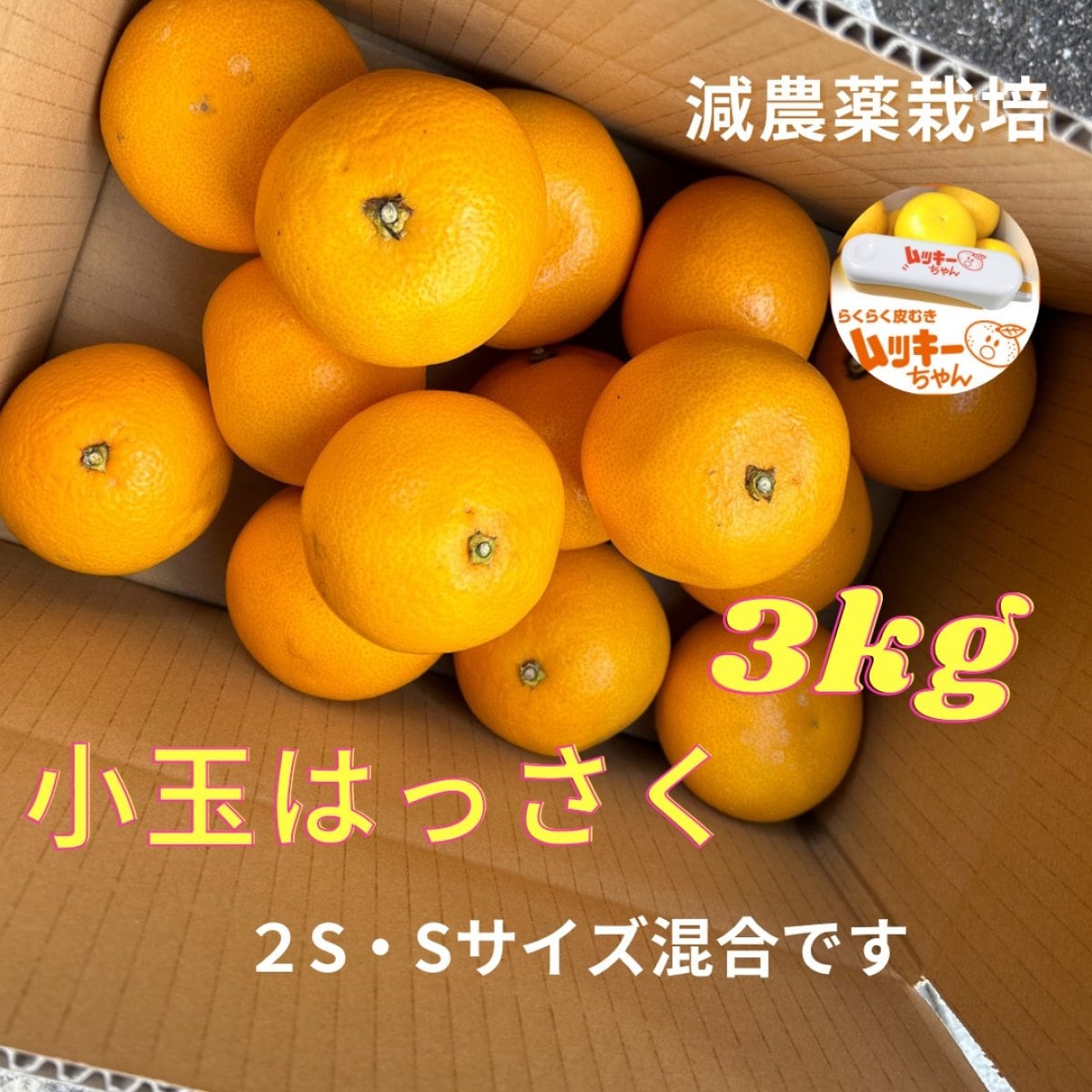 【数量限定　小玉はっさく】(送料込み一部地域除く)和歌山県紀の川市産八朔（はっさく）家庭用３kg（12〜15個２S・Sサイズミックス）※ご希望の方に皮むきムッキーちゃん付き
