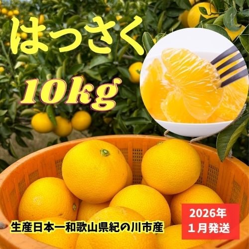 和歌山県紀の川市産八朔（はっさく）10kg（20〜25個サイズミックス