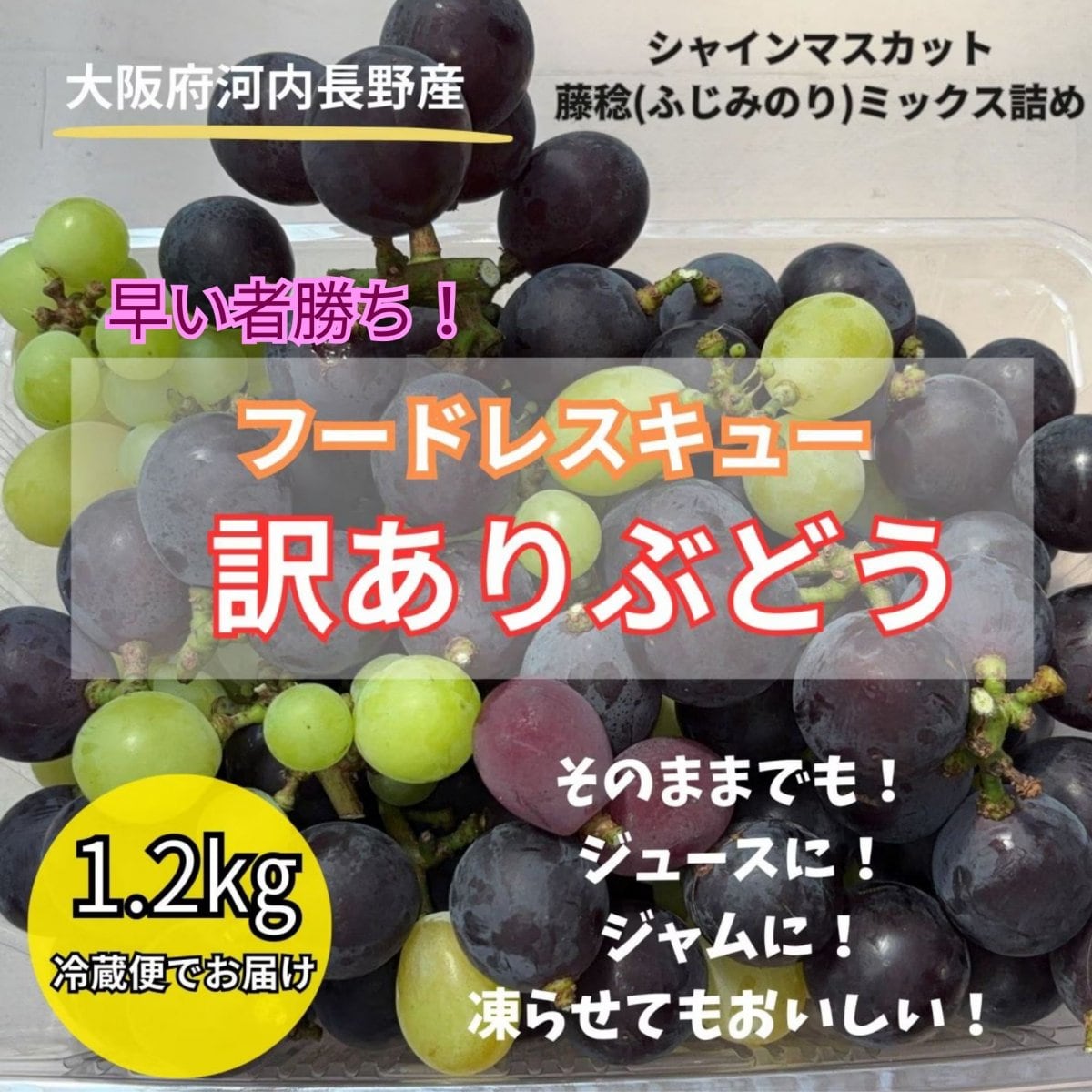 【フードレスキュー】高ポイント/数量限定/訳あり大阪府河内長野産シャインマスカット＆藤稔(ふじみのり)ミックス詰め1.2㎏/送料込み(別途送料発生地域あり)ゆうパックチルド便(冷蔵)でお届け