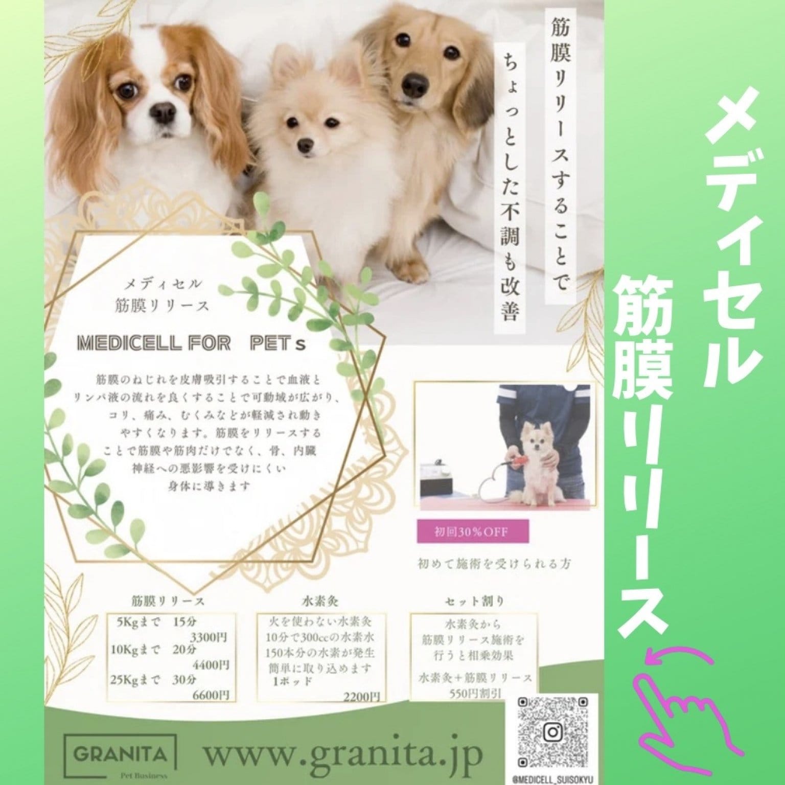 わんにゃんフレンドフェスティバル　　５月２６日　限定　　メディセル筋膜リリース　小型犬　5Kgまで