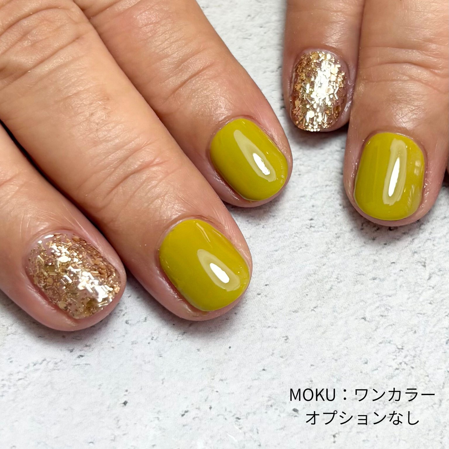 ワンカラーコース｜ MOKU特別メニュー