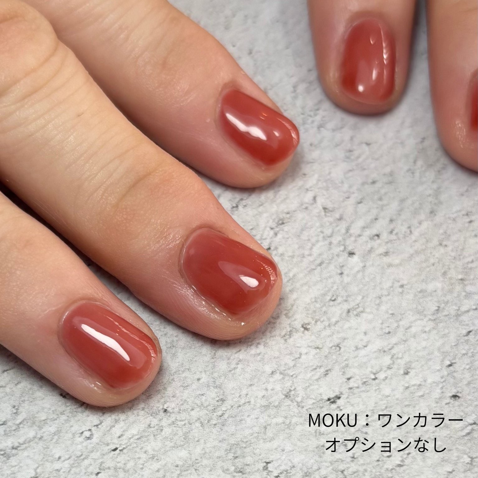 ワンカラーコース｜ MOKU特別メニュー