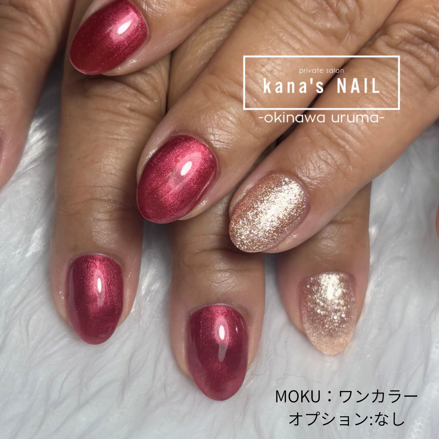 ワンカラーコース｜ MOKU特別メニュー