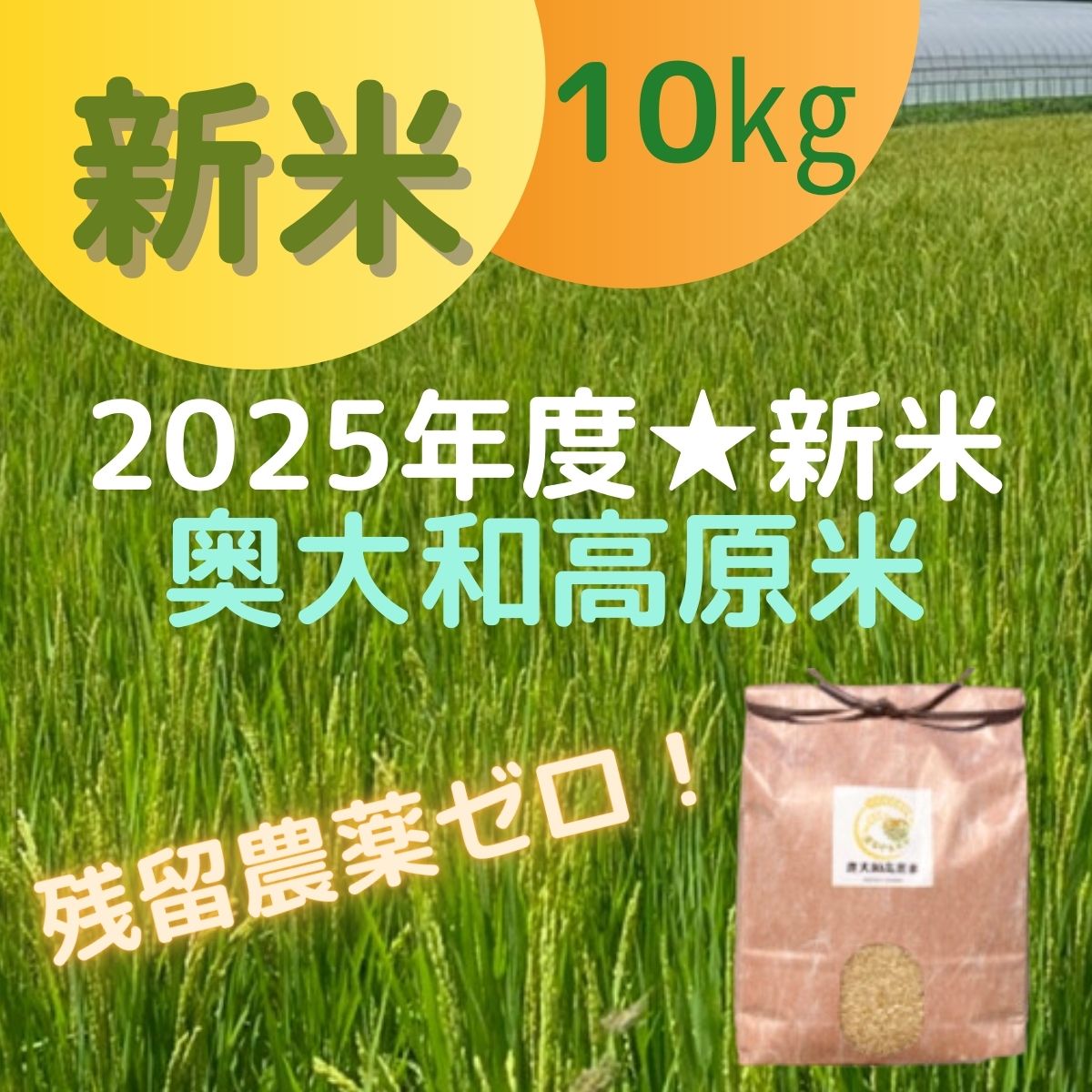 奥大和高原新米10キロ/減農薬特別栽培2025年度新米☆|奥大和高原米