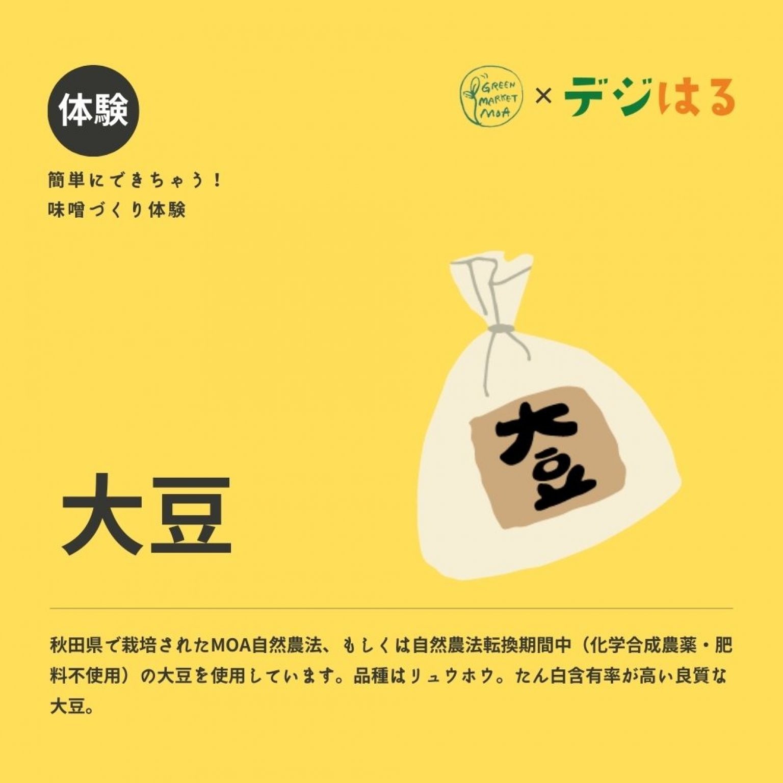 【4/22土14:00】手作り味噌づくり体験in首里