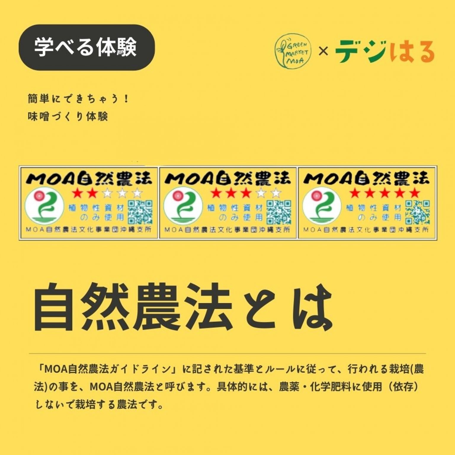 【9/16(土)14-15時】手作り味噌づくり体験in首里
