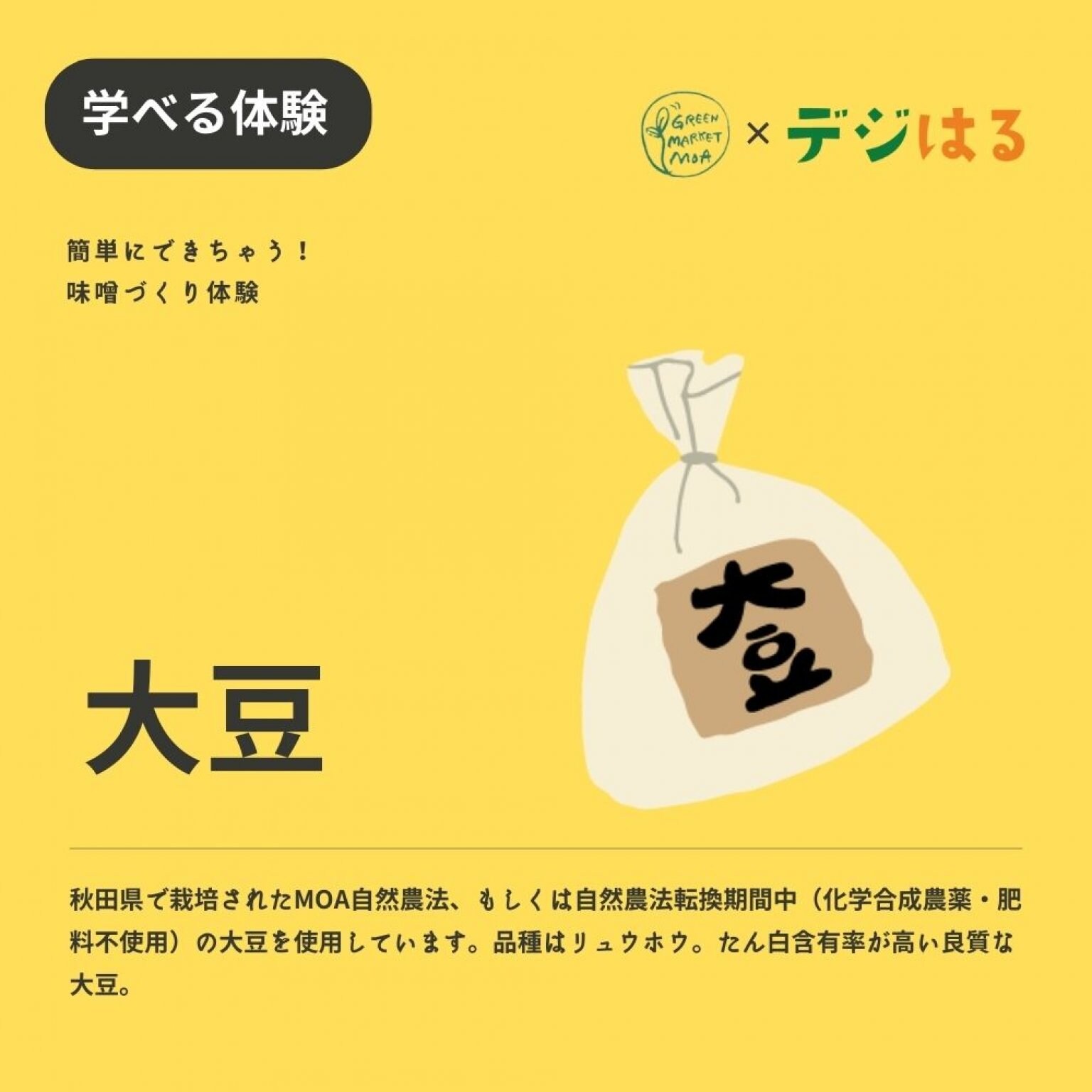 【9/16(土)14-15時】手作り味噌づくり体験in首里