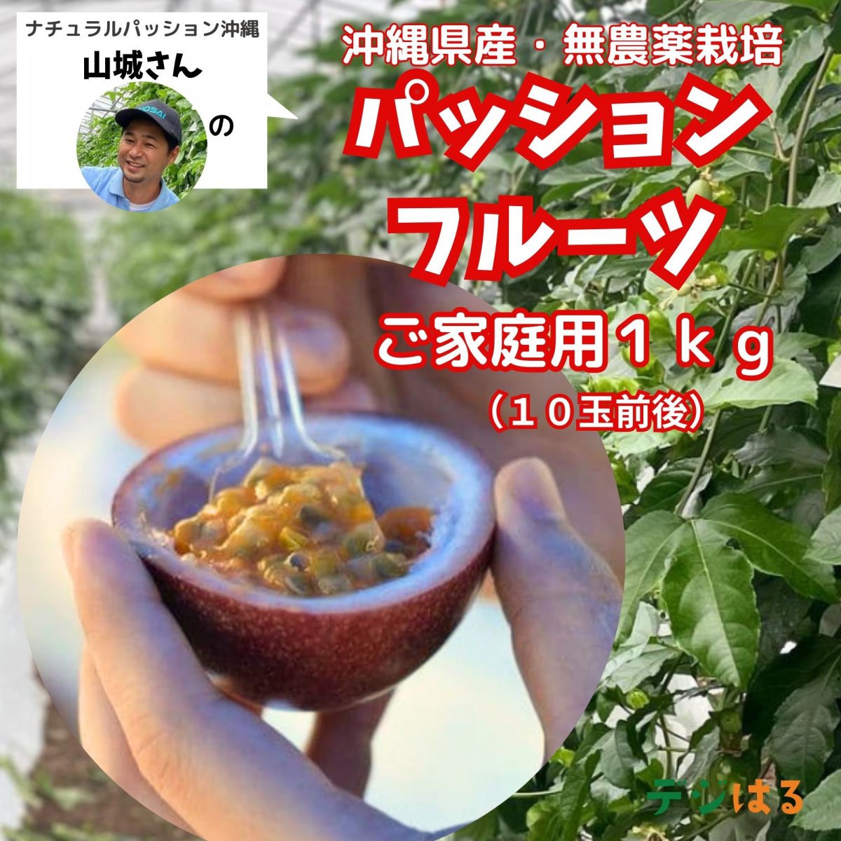 【ご家庭用1ｋｇ】【送料無料　高ポイント還元】沖縄糸満産　無農薬パッションフルーツ　10玉前後