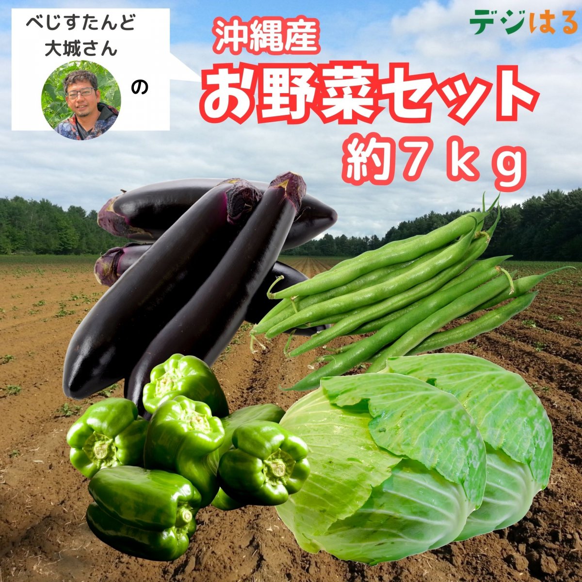 【沖縄県産】べじすたんどの野菜詰め合わせセット（100サイズ）
