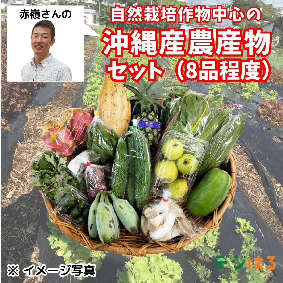 【定期or単発】自然栽培を中心にした野菜セット｜100サイズ詰め合わせ(8品程度)｜沖縄産