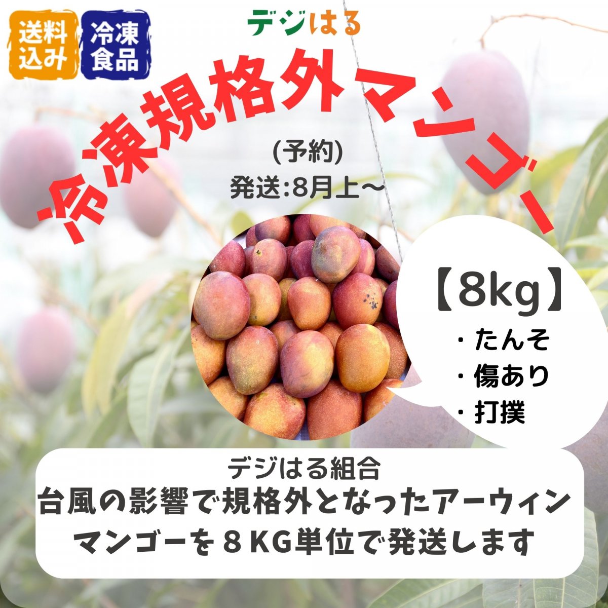 【送料込】【冷凍】規格外マンゴー8kg｜沖縄産｜フードレスキュー
