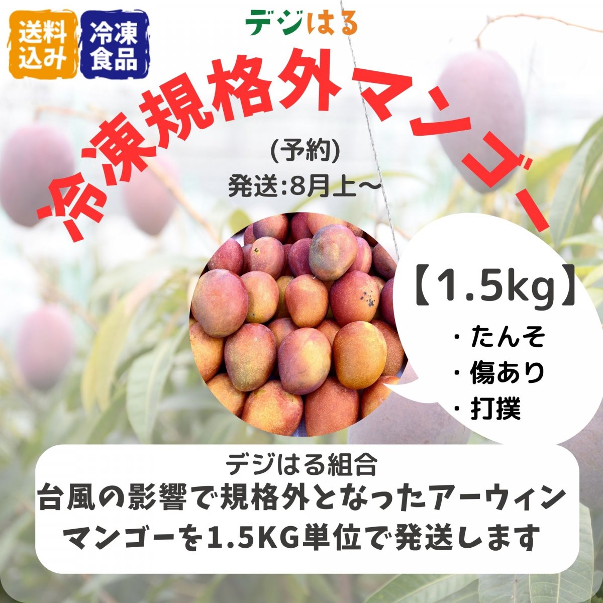 【数量限定】【送料込】【冷凍】規格外アーウィンマンゴー1.5kg｜沖縄産｜フードレスキュー