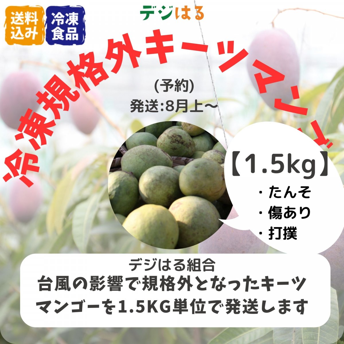 【送料込】規格外冷凍キーツマンゴー1.5kg｜沖縄産｜フードレスキュー