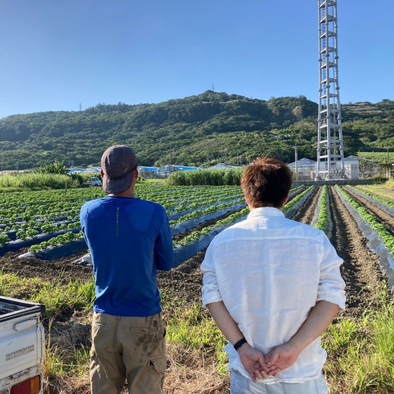 【1/20土10:00開催】収穫体験＆出張シェフイベント（小学生以下チケット）