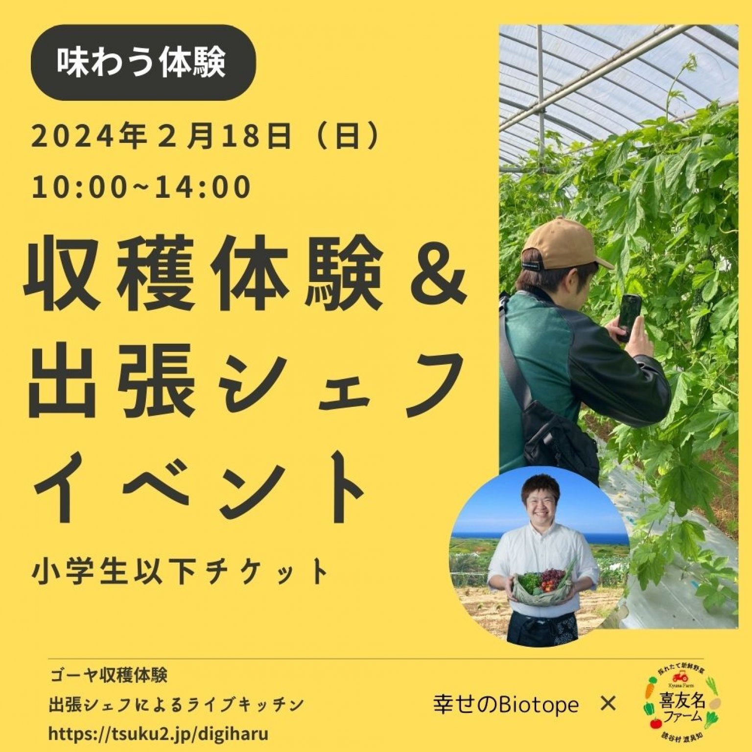【小人】【2/18日10:00開催】収穫体験＆出張シェフイベントin読谷（小人チケット）