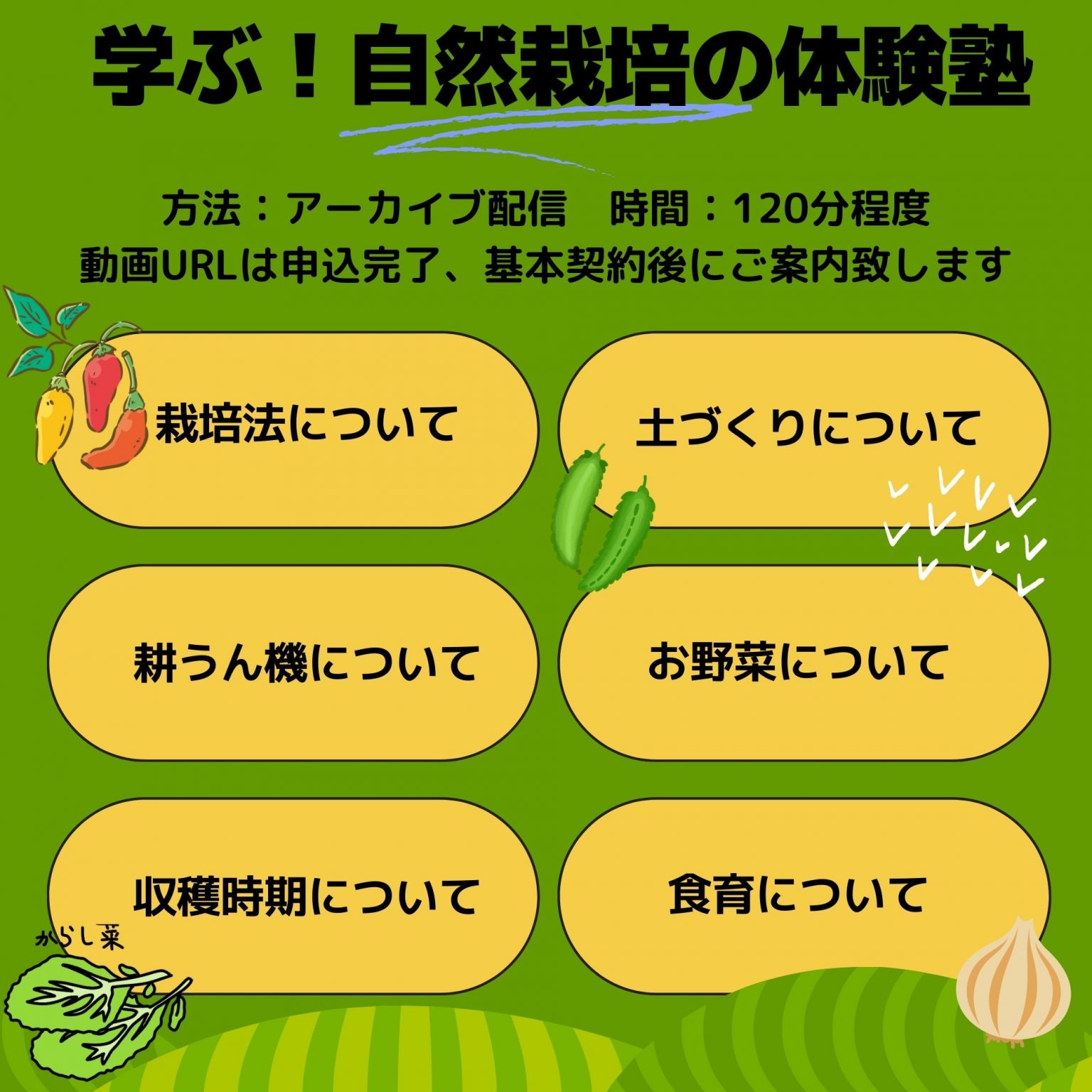 【法人様】複数区画プラン5区画｜デジはる畑人体験塾