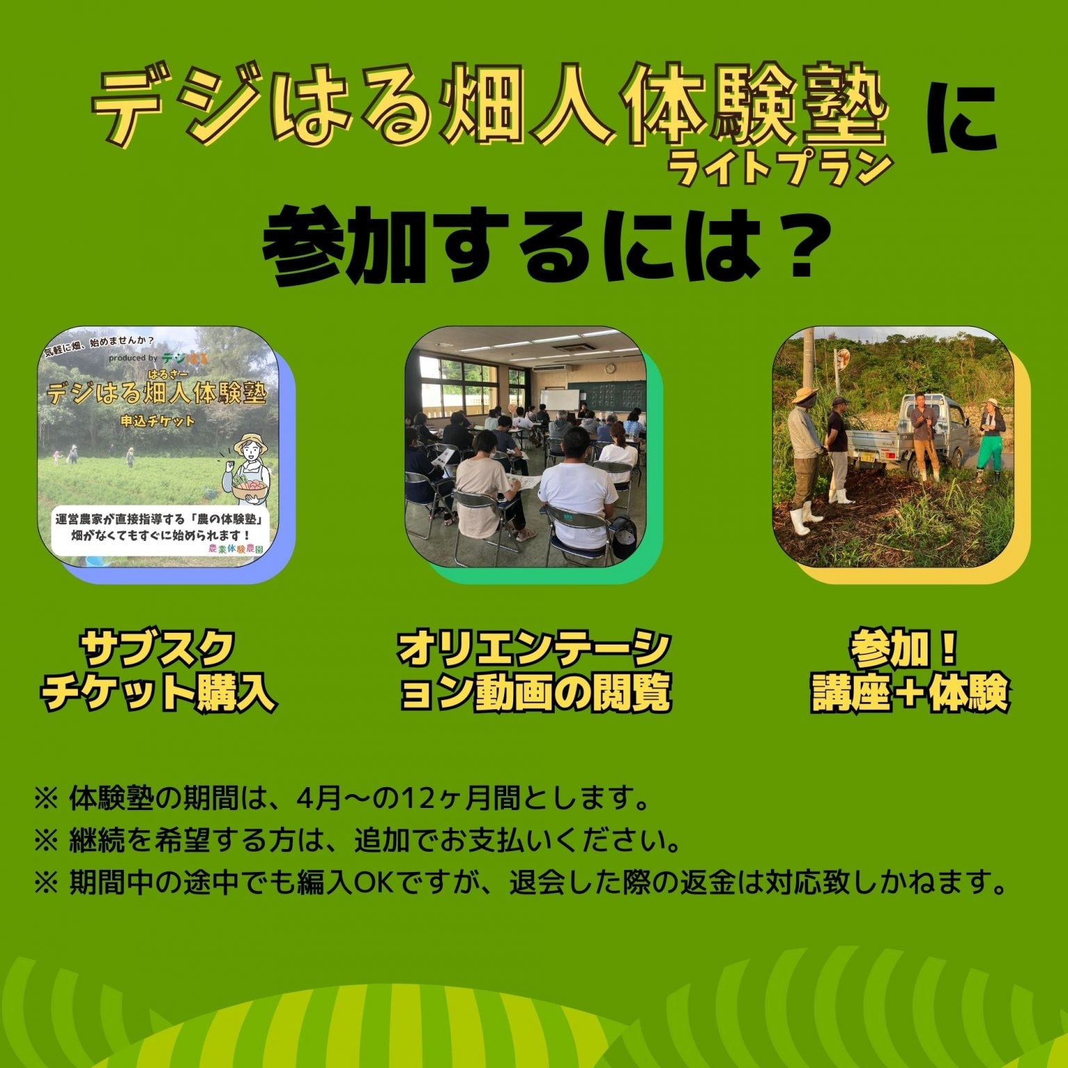 【法人様】複数区画プラン5区画｜デジはる畑人体験塾