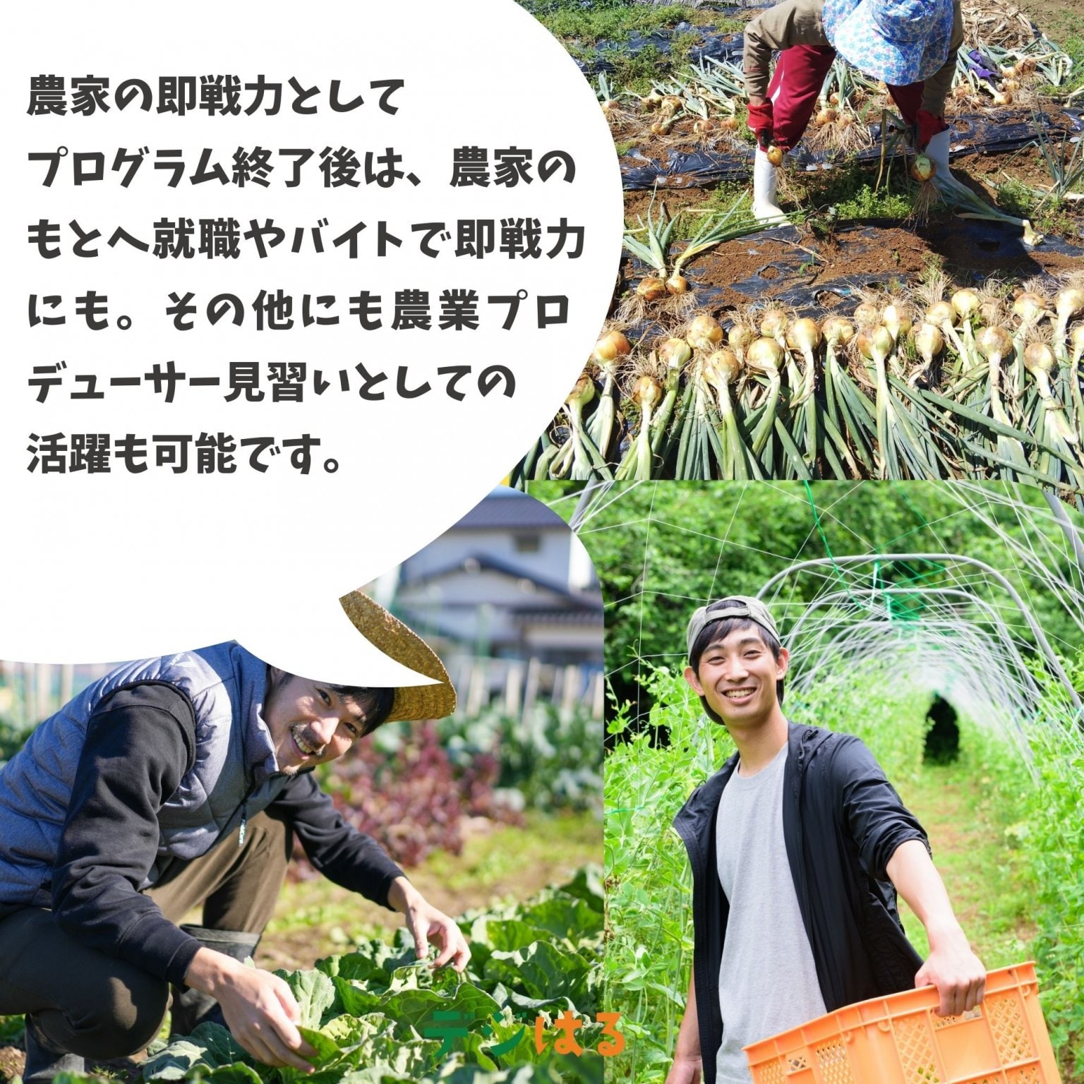 【農業研修生育成プログラム】研修生加入／サブスク（９月〜翌８月）|2025年9月よりスタート中・アーカイブあり・途中参加可能